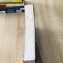 SÓI GIÀ PHỐ WALL 1022316