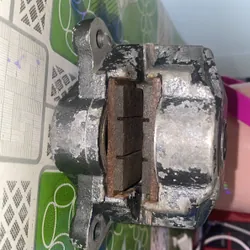 heo brem 2 pis fake 702592