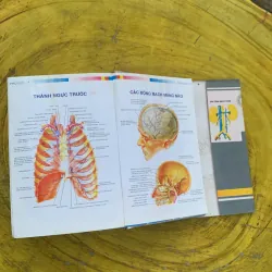 TỪ ĐIỂN Y HỌC ANH - VIỆT  nhà xuất bản từ điển Bách Khoa 790404