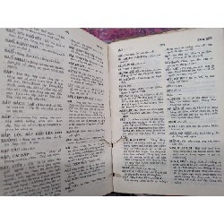 Từ điển Annam - Lusitian - Latinh - Alexandre De Rhodes 71579