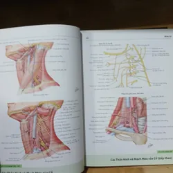 Atlas Giải Phẫu Người (Ấn Bản Lần Thứ 6) - Frank H. Netter, MD 570689