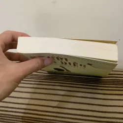 Người đua diều 1025840