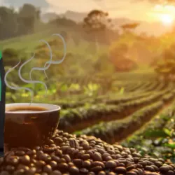 CÀ PHÊ HẠT- CÀ PHÊ HOÀ TAN-CÀ PHÊ XAY- BỘT CACAO 1046198