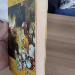 cuốn tiểu thuyết "Bao giờ trăng lại tròn?" của tác giả Nguyệt Như Tích 997148