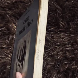 Con mắt thơ - Đỗ Lai Thuý 711336