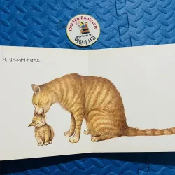 Set Boardbook tiếng Hàn B24 1001342