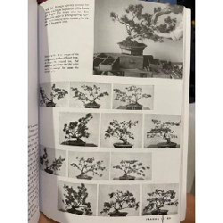 The art of bonsai - Yuji Yoshimura 927634