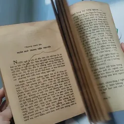 [MIỄN PHÍ BỌC SÁCH] [XƯA] Tiểu Thuyết Việt Nam Hiện Đại 2 (1978) - Phan Cự Đệ 776017