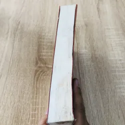 TIỂU SỬ VÀ HÀNH TRANG CÁC NHÀ KHOA BẢNG HÁN HỌC NAM BỘ 989643