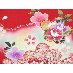 Bé gái bốn tuổi - Hàng hiệu Authentic 884306