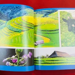 Tây Bắc Việt Nam 591003