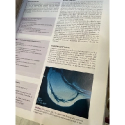 Cosmetic and Reconstructive Breast Surgery - Maurice Nahabedian