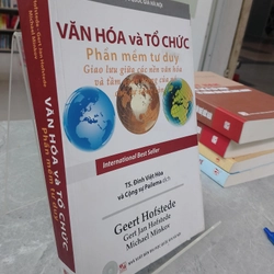 VĂN HOÁ VÀ TỔ CHỨC PHẦN MỀM TƯ DUY - TS. ĐINH VIỆT HOÀ