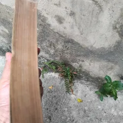 Về vấn đề xác định thành phần các dân tộc thiểu số ở miền Bắc Việt Nam  1019173