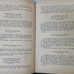HÓA THẠCH ĐẶC TRƯNG Ở MIỀN BẮC VIỆT NAM 687720