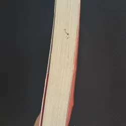 Bạn đắt giá bao nhiêu? - Vãn Tình 559040