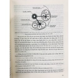 Thị tứ làng xã - TS.KTS. Đặng Đức Quang 50541