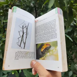 Từ Điển Tranh Về Các Con Vật - Lê Quang Long 753786