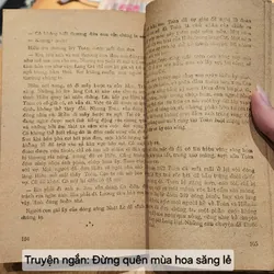 Truyện ngắn: ĐỪNG QUÊN MÙA HOA SĂNG LẺ 706294