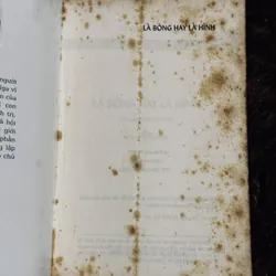 Combo Dostoesvski  736191