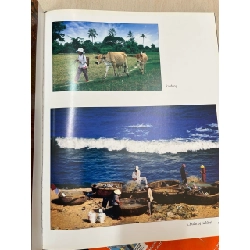 Quê hương và đồng dội - Từ Lương Vân 752593