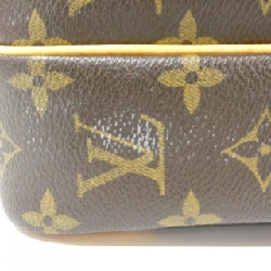 Túi đeo vai Louis Vuitton Monogram Amazon M45236 608872
