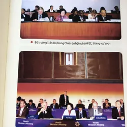 Trần Thị Trung Chiến - Cuộc đời và sự nghiệp 708096