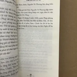 Nguyễn Tri Phương Vị Nguyên Sói Tài Trí Nước Nam 1037083