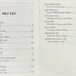 Đôi Chim Xanh 597130