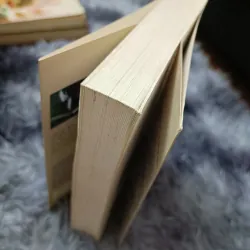 Biển và chim bói cá (Bùi Ngọc Tấn) 932889