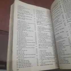 ALMANACH Người Mẹ và Phái Đẹp 747505