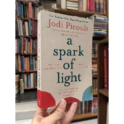 A spark of light - Jodi Picoult