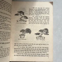 Bonsai cây kiểng cổ - Trần Hợp 567329