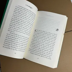 Bắt trẻ đồng xanh 733434