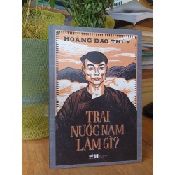 Trai nước Nam làm gì - Hoàng Đạo Thúy