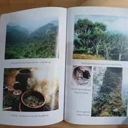 Văn Minh Trà Việt - Trịnh Quang Dũng 565239