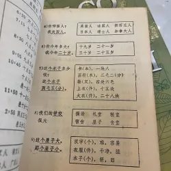 VĂN PHẠM HÁN NGỮ HIỆN ĐẠI - NGUYỄN VĂN ÁI, TRẦN XUÂN NGỌC LAN dịch   1031514