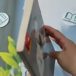 Thư Riêng Của Bác Hồ - Trần Quân Ngọc sưu tầm 928557