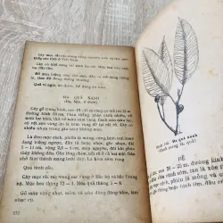 CÂY RỪNG , nxb: 1978 956947