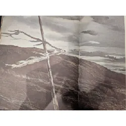 The Beauty of America