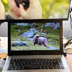 ASUS X450LD (CPU I5 4210U, RAM 4G, 1TB , vga rời) thích hợp văn phòng/giải trí