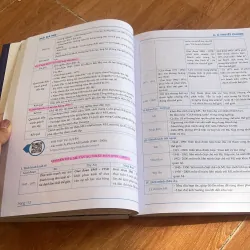 Giải mã 990+  929795