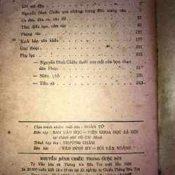 Nguyễn Đình Chiểu trong cuộc đời 998052