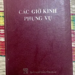 Các giờ Kinh Phụng Vụ 2008