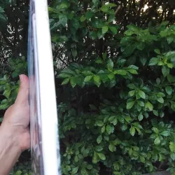 754 năm kiến trúc thành phố Nam Định KTS Phan Đăng Trình  1001367