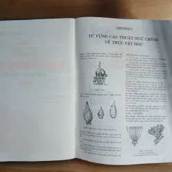 Từ Điển Thực Vật Thông Dụng (Tập 1) - Võ Văn Chi 976204