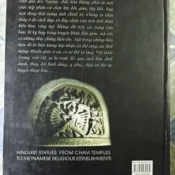 Tượng thờ Hindu giáo từ đền tháp chăm đến chùa miếu Việt - Nguyễn Hữu Thông 748830