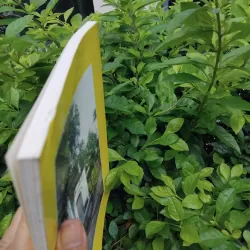 Đặng tộc đại tông phả ( phả chi trưởng họ Đặng )  981584