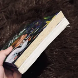 Combo Hermann Hesse 1031592