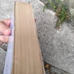 Cách mạng, kháng chiến và đời sống văn học 1945 - 1954 1019195